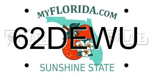 62DEWU Florida License Plate