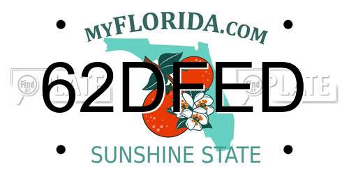 62DFED Florida License Plate