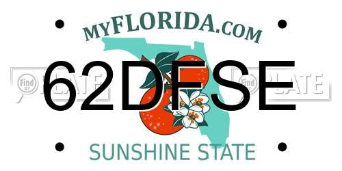 62DFSE Florida License Plate