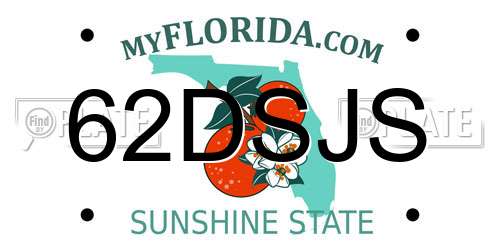 62DSJS Florida License Plate