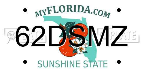 62DSMZ Florida License Plate