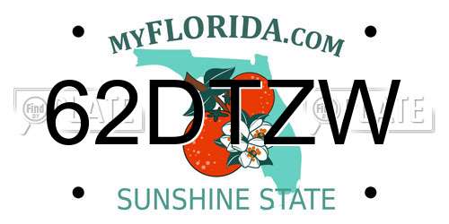 62DTZW Florida License Plate