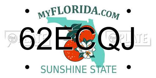 62ECQJ Florida License Plate