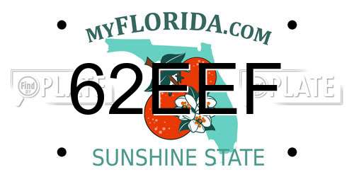 62EEF Florida License Plate