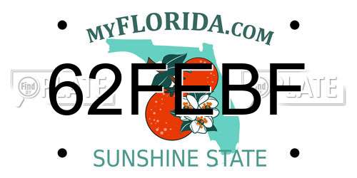 62FEBF Florida License Plate