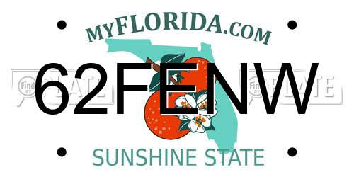 62FENW Florida License Plate