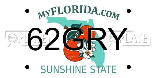 62GRY Florida License Plate