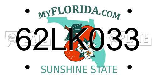 62LK033 Florida License Plate