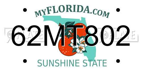 62MT802 Florida License Plate