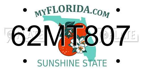 62MT807 Florida License Plate