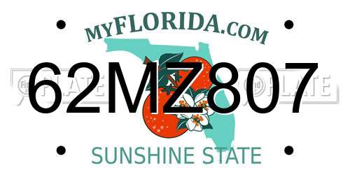 62MZ807 Florida License Plate