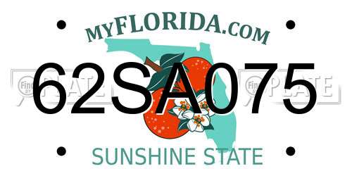 62SA075 Florida License Plate