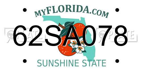 62SA078 Florida License Plate