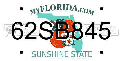 62SB845 Florida License Plate
