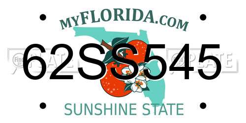 62SS545 Florida License Plate