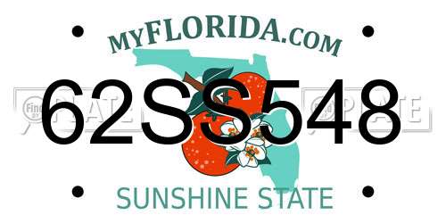 62SS548 Florida License Plate