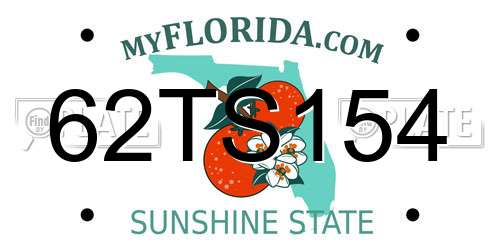 62TS154 Florida License Plate