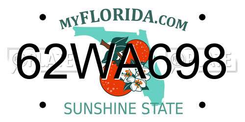 62WA698 Florida License Plate