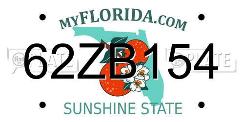 62ZB154 Florida License Plate