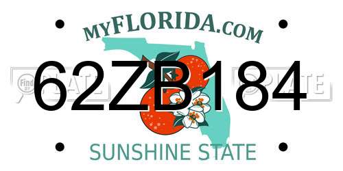 62ZB184 Florida License Plate