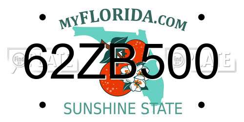 62ZB500 Florida License Plate