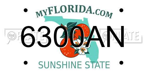 6300AN Florida License Plate