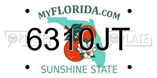 6310JT Florida License Plate