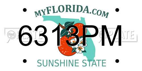 6313PM Florida License Plate