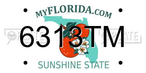 6313TM Florida License Plate