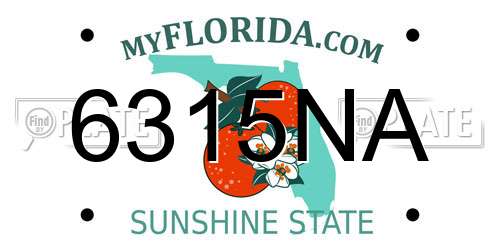 6315NA Florida License Plate