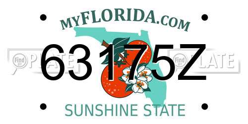 63175Z Florida License Plate