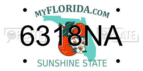 6318NA Florida License Plate