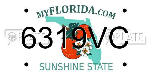 6319VC Florida License Plate