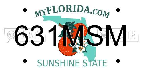 631MSM Florida License Plate