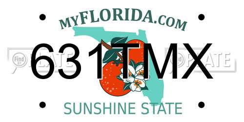 631TMX Florida License Plate