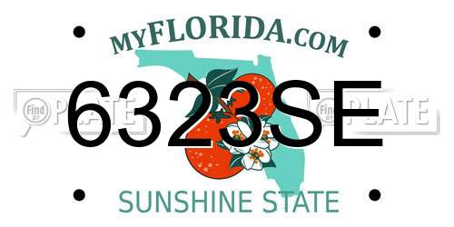 6323SE Florida License Plate