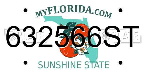 632566ST Florida License Plate