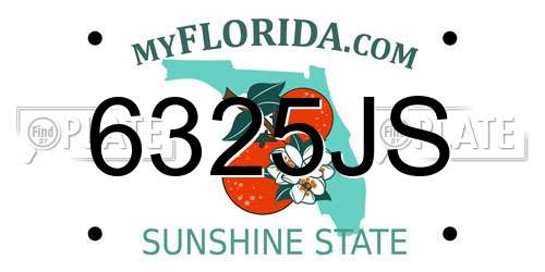 6325JS Florida License Plate