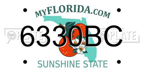 6330BC Florida License Plate