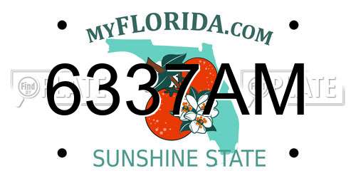 6337AM Florida License Plate