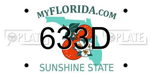 633D Florida License Plate