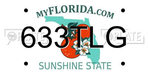 633TLG Florida License Plate