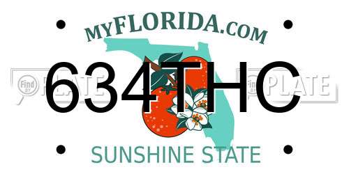 634THC Florida License Plate