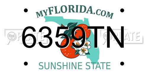 6359TN Florida License Plate