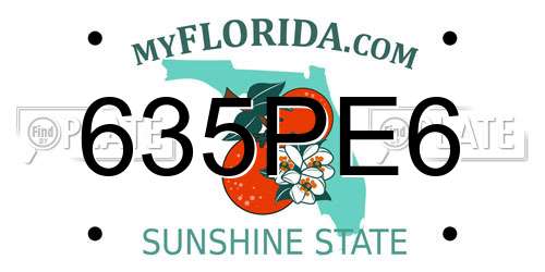 635PE6 Florida License Plate