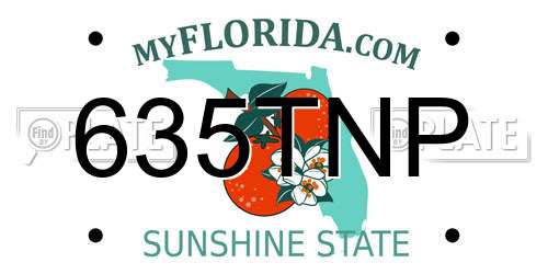 635TNP Florida License Plate