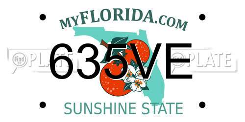 635VE Florida License Plate