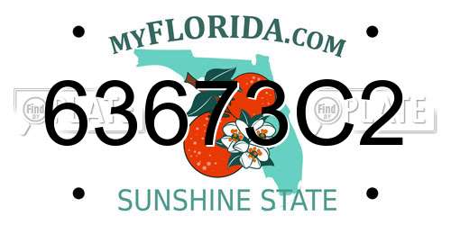 63673C2 Florida License Plate