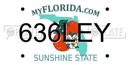 636LEY Florida License Plate