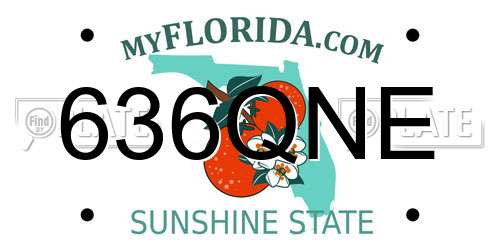 636QNE Florida License Plate